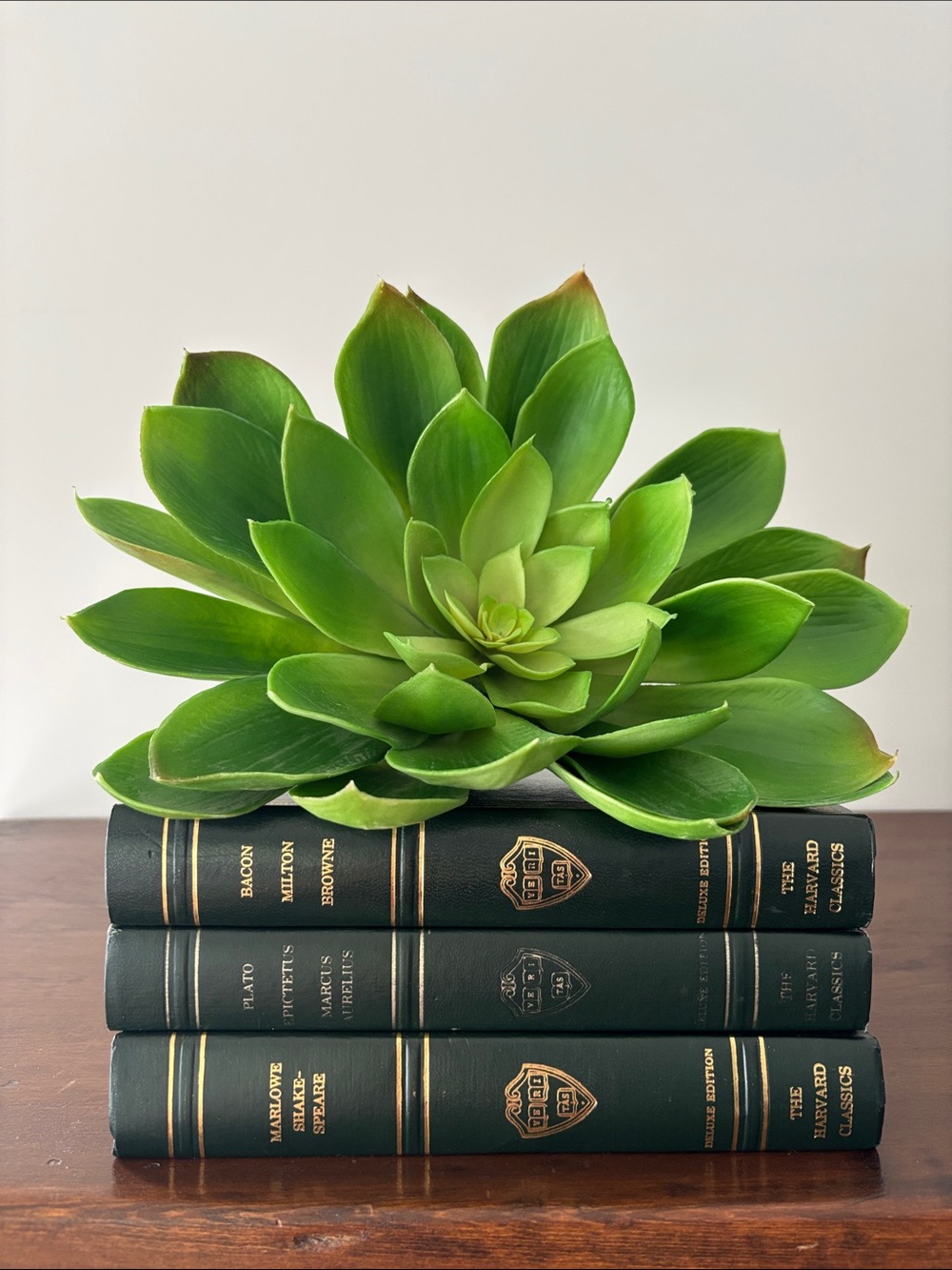 Three Harvard Classics Hardcover Books - Picture 3 of 16